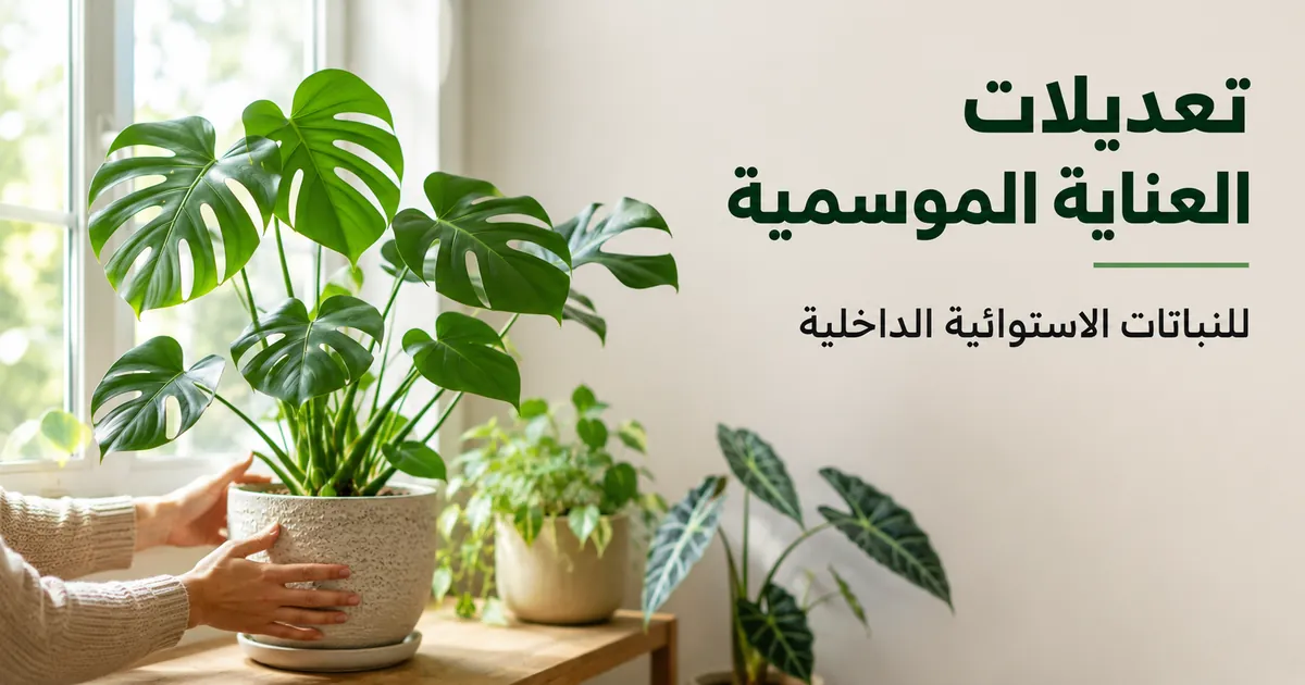 نباتات استوائية داخلية مرتبة قرب نافذة استعدادًا لتعديلات العناية الموسمية
