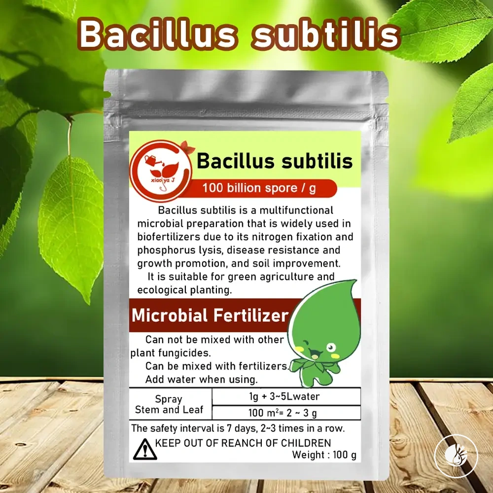 Bacillus subtilis microbial fertilizer for agricultural soil activity
