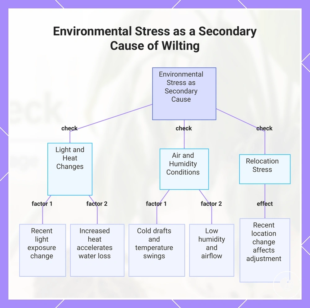 Environmental Stress as a Secondary Cause of Wilting