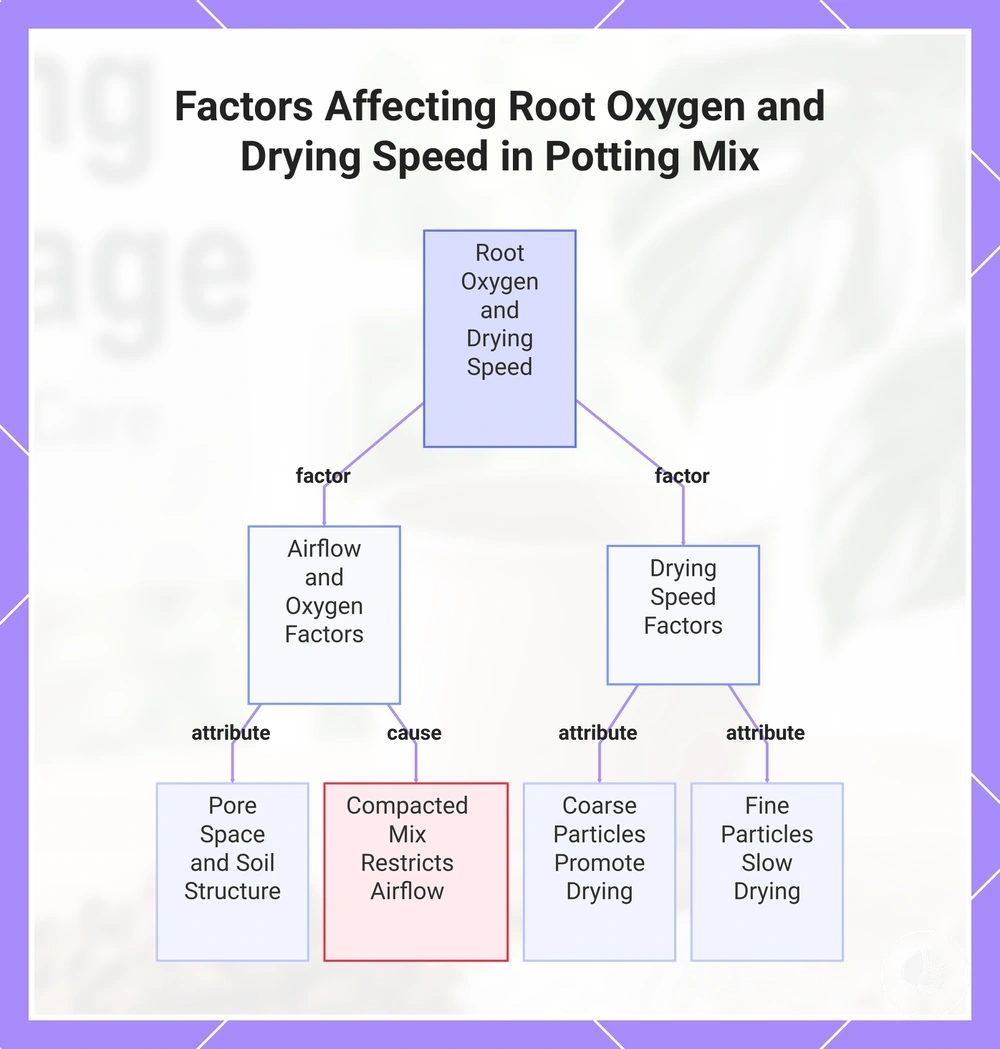 Factors Affecting Root Oxygen and Drying Speed in Potting Mix