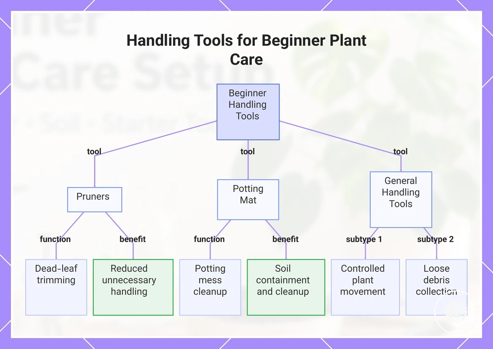 Handling Tools for Beginner Plant Care