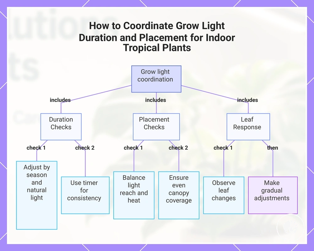 How to Coordinate Grow Light Duration and Placement for Indoor Tropical Plants