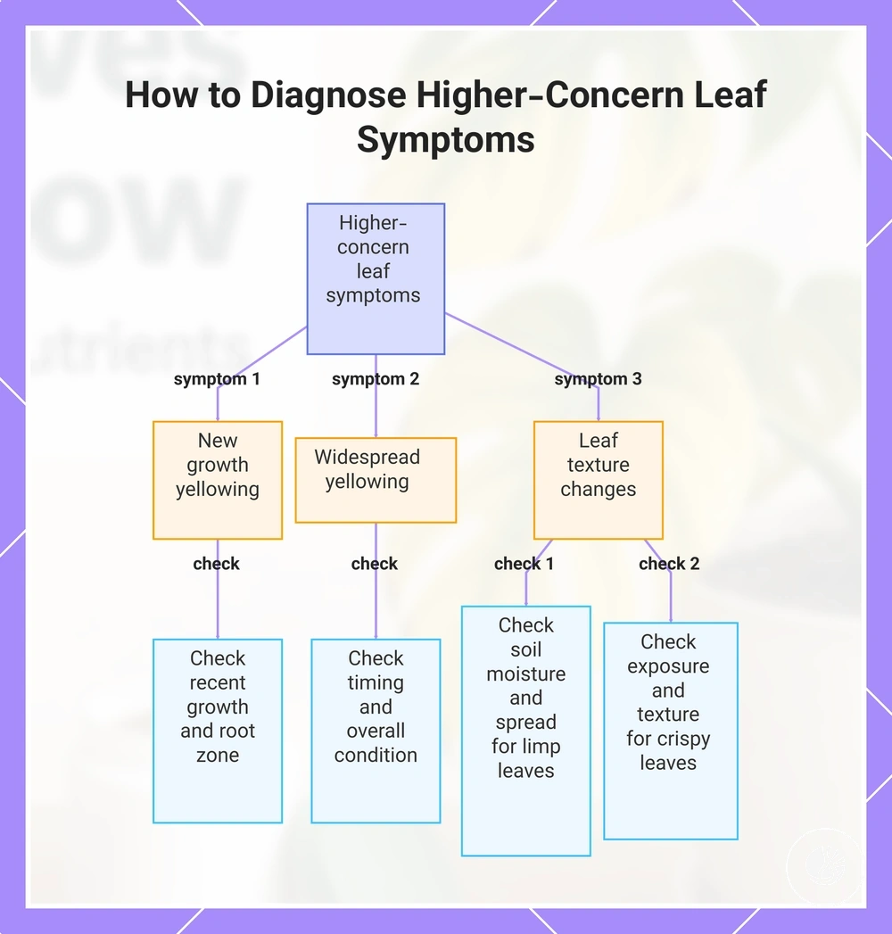 How to Diagnose Higher-Concern Leaf Symptoms