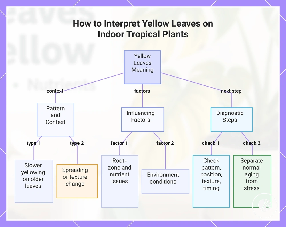 How to Interpret Yellow Leaves on Indoor Tropical Plants