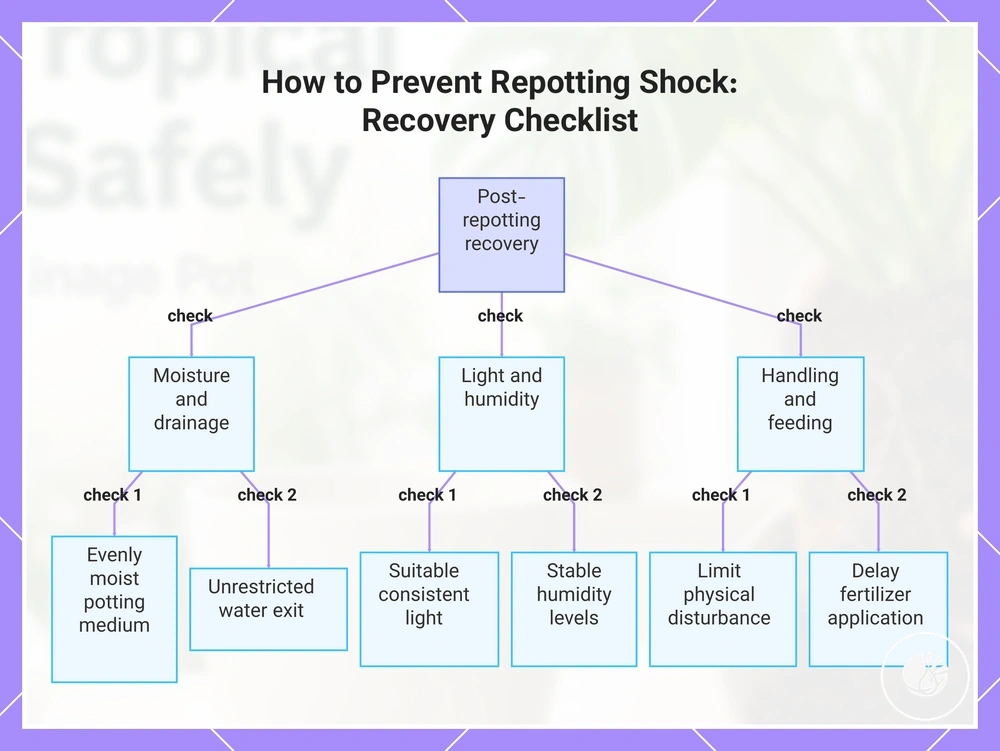How to Prevent Repotting Shock: Recovery Checklist