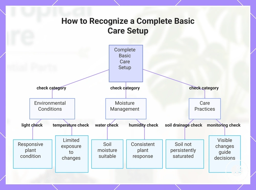 How to Recognize a Complete Basic Care Setup