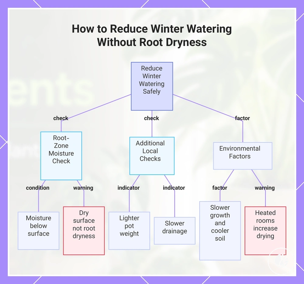 How to Reduce Winter Watering Without Root Dryness