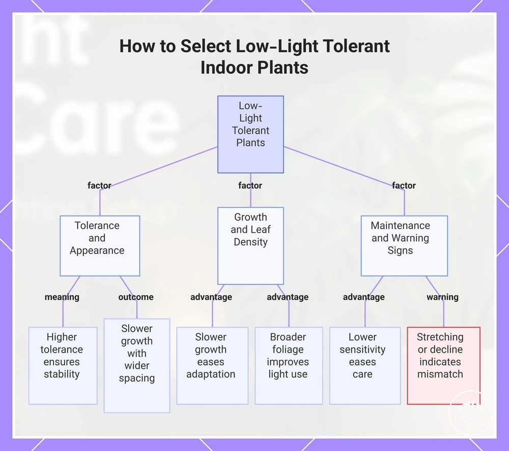 How to Select Low-Light Tolerant Indoor Plants