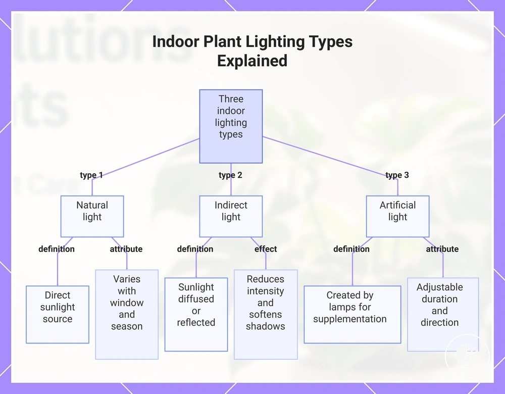 Indoor Plant Lighting Types Explained