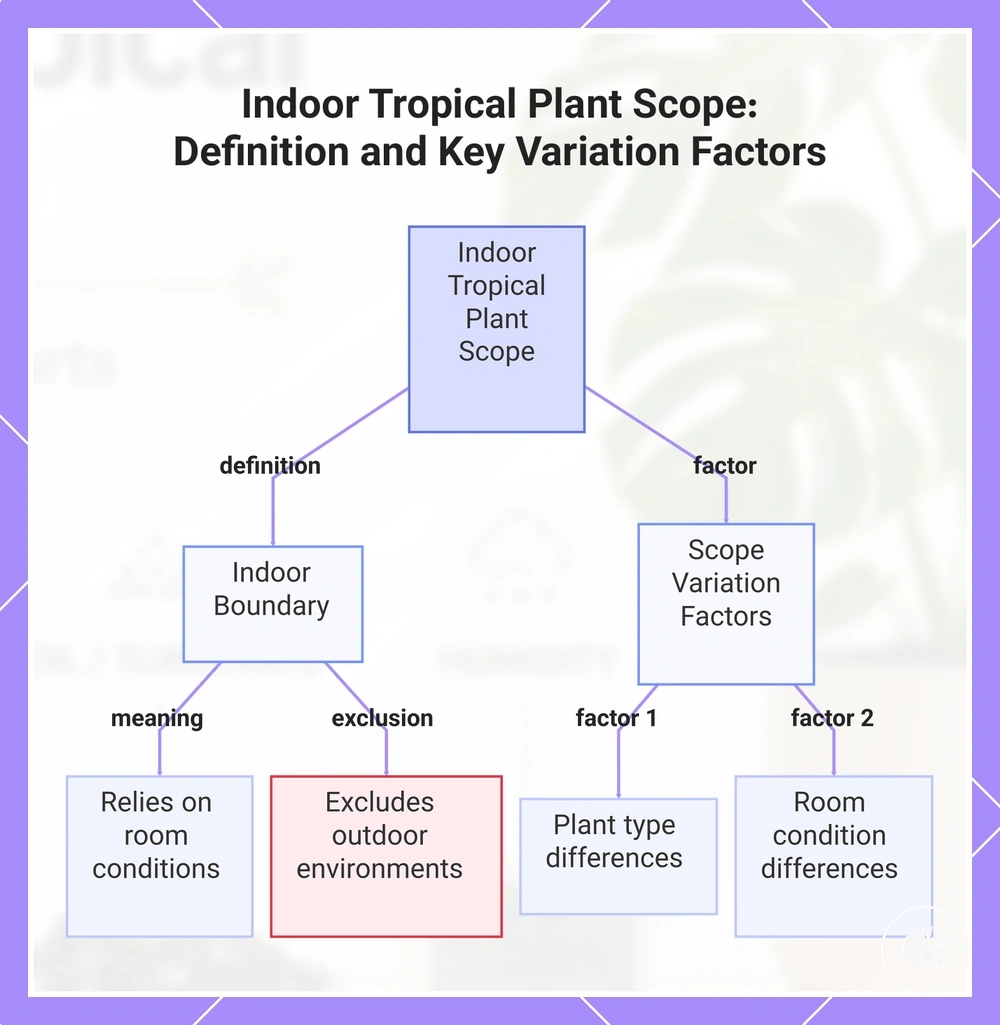 Indoor Tropical Plant Scope: Definition and Key Variation Factors