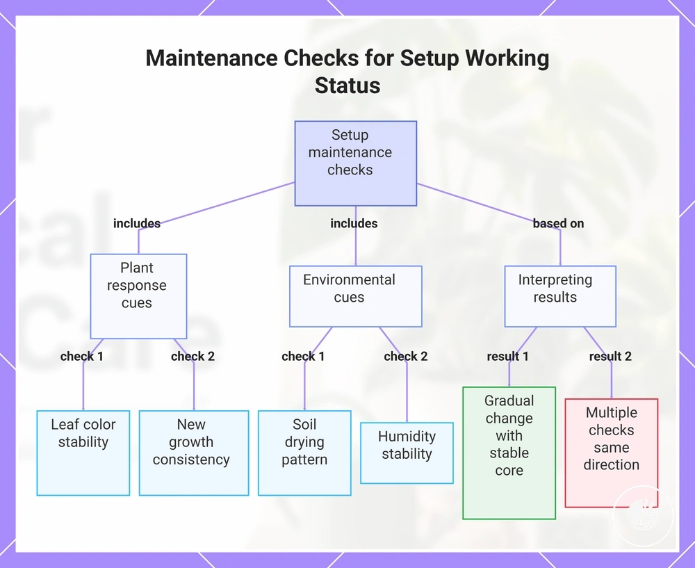 Maintenance Checks for Setup Working Status