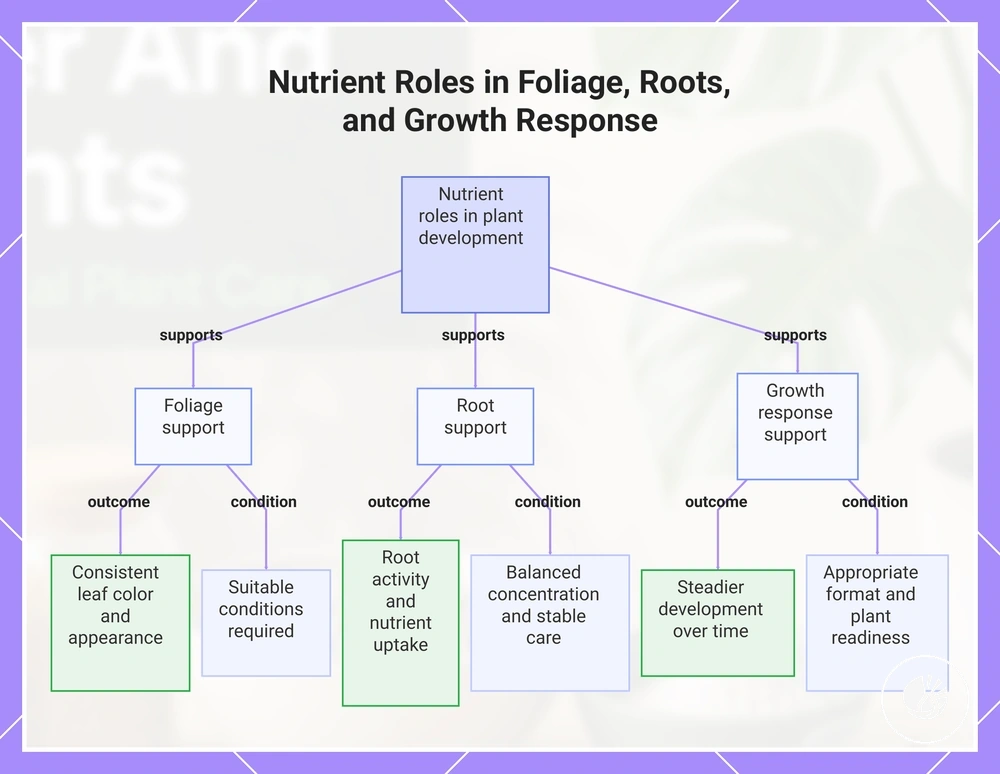 Nutrient Roles in Foliage, Roots, and Growth Response