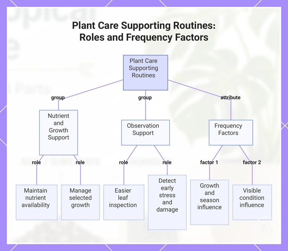 Plant Care Supporting Routines: Roles and Frequency Factors
