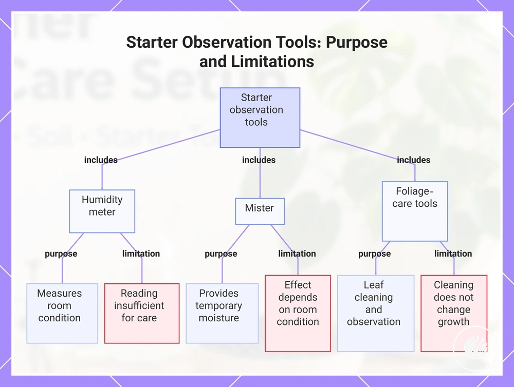 Starter Observation Tools: Purpose and Limitations