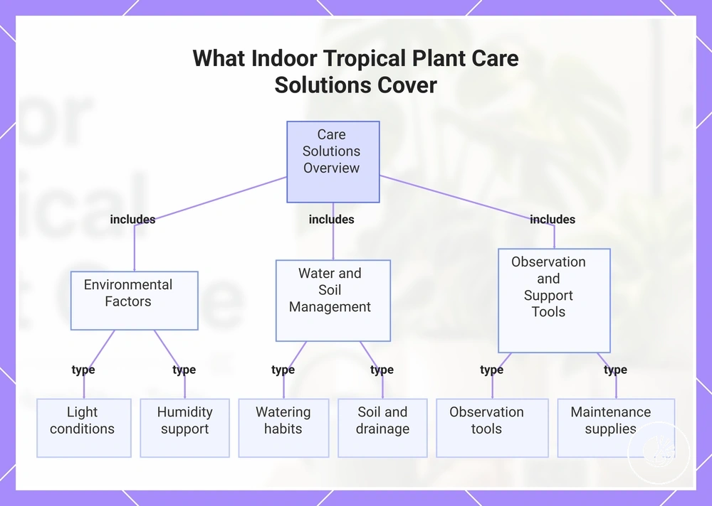 What Indoor Tropical Plant Care Solutions Cover