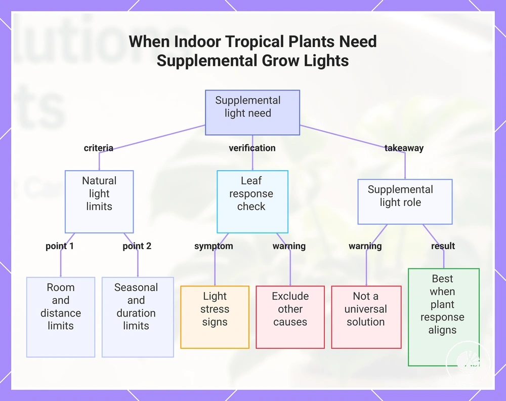 When Indoor Tropical Plants Need Supplemental Grow Lights