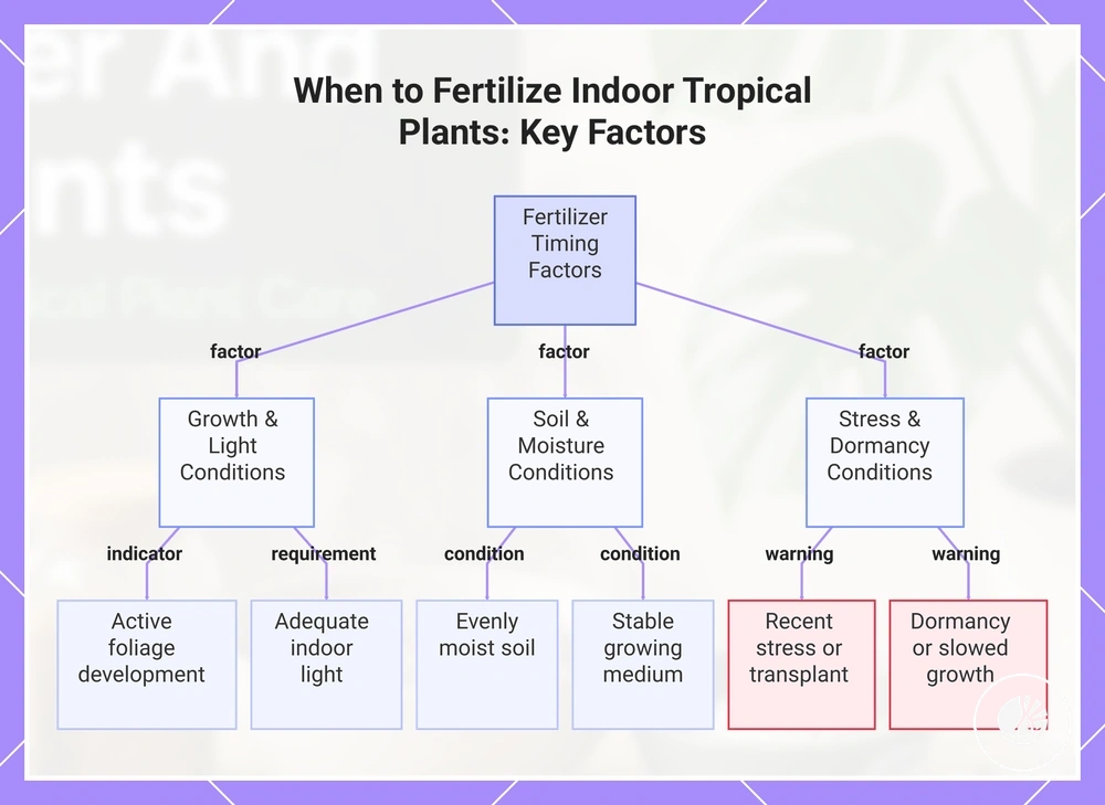 When to Fertilize Indoor Tropical Plants: Key Factors