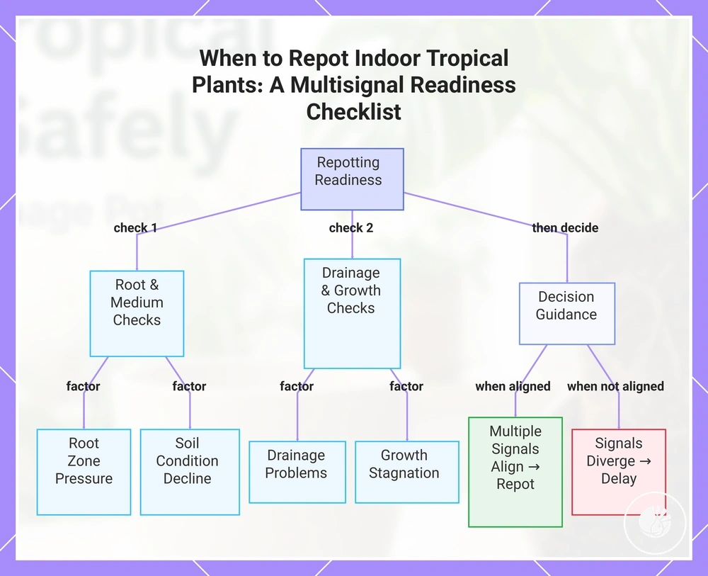 When to Repot Indoor Tropical Plants: A Multisignal Readiness Checklist