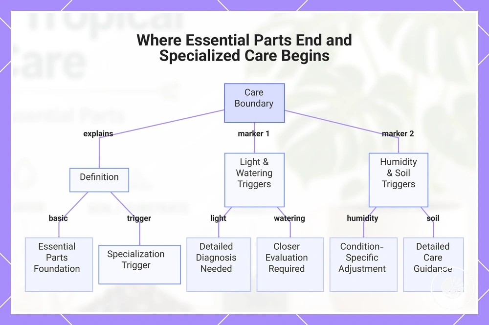 Where Essential Parts End and Specialized Care Begins