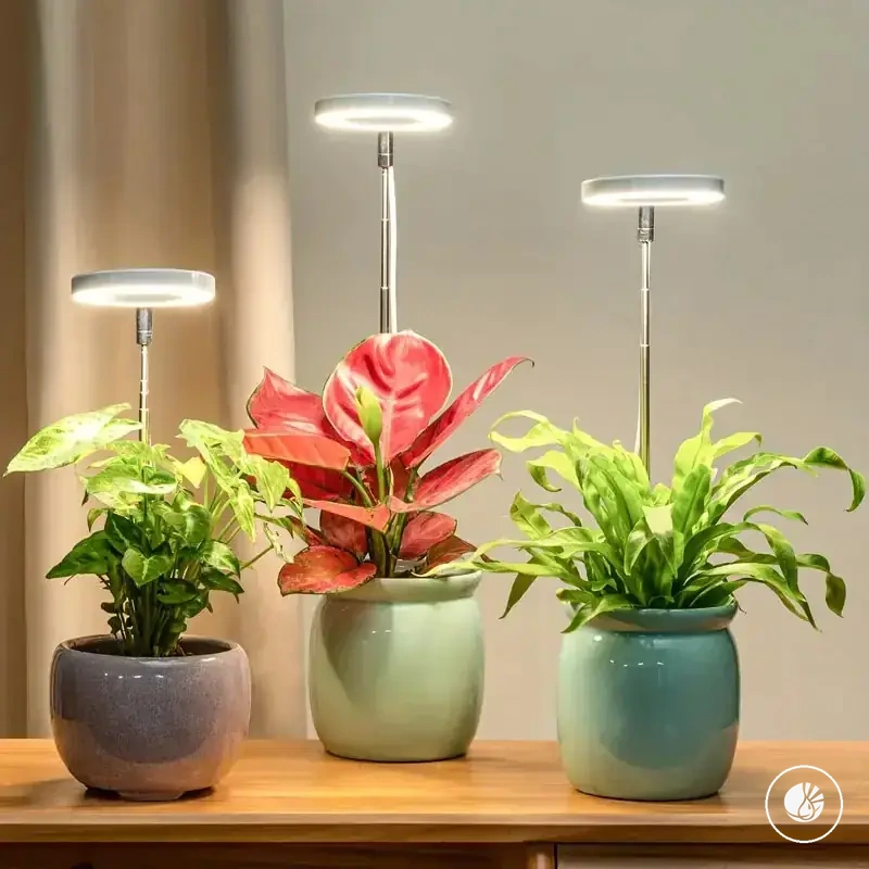 Luz LED de cultivo ajustable de espectro completo con temporizador para plantas de interior