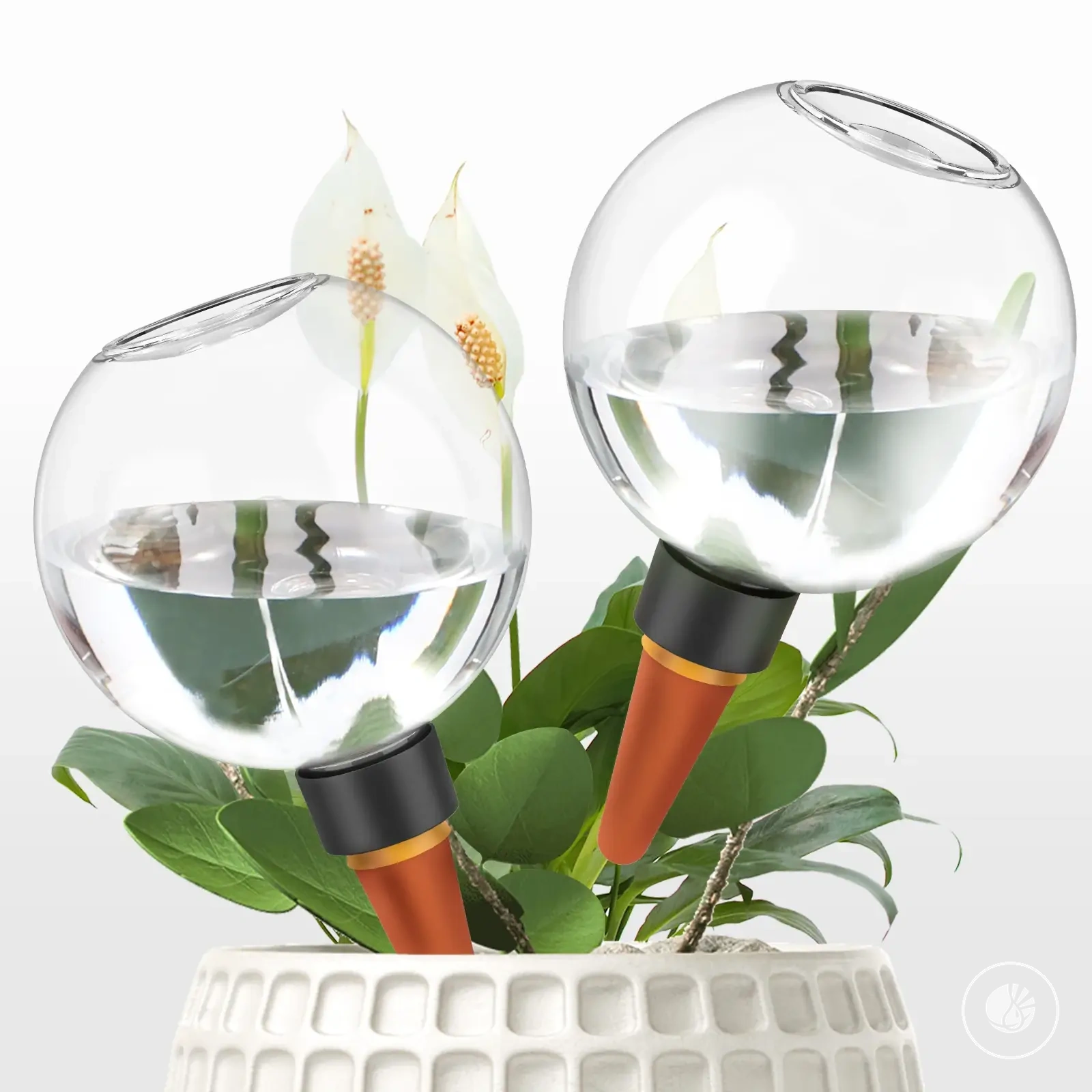 Boules d’arrosage automatiques de 500 ml pour irrigation goutte à goutte lente