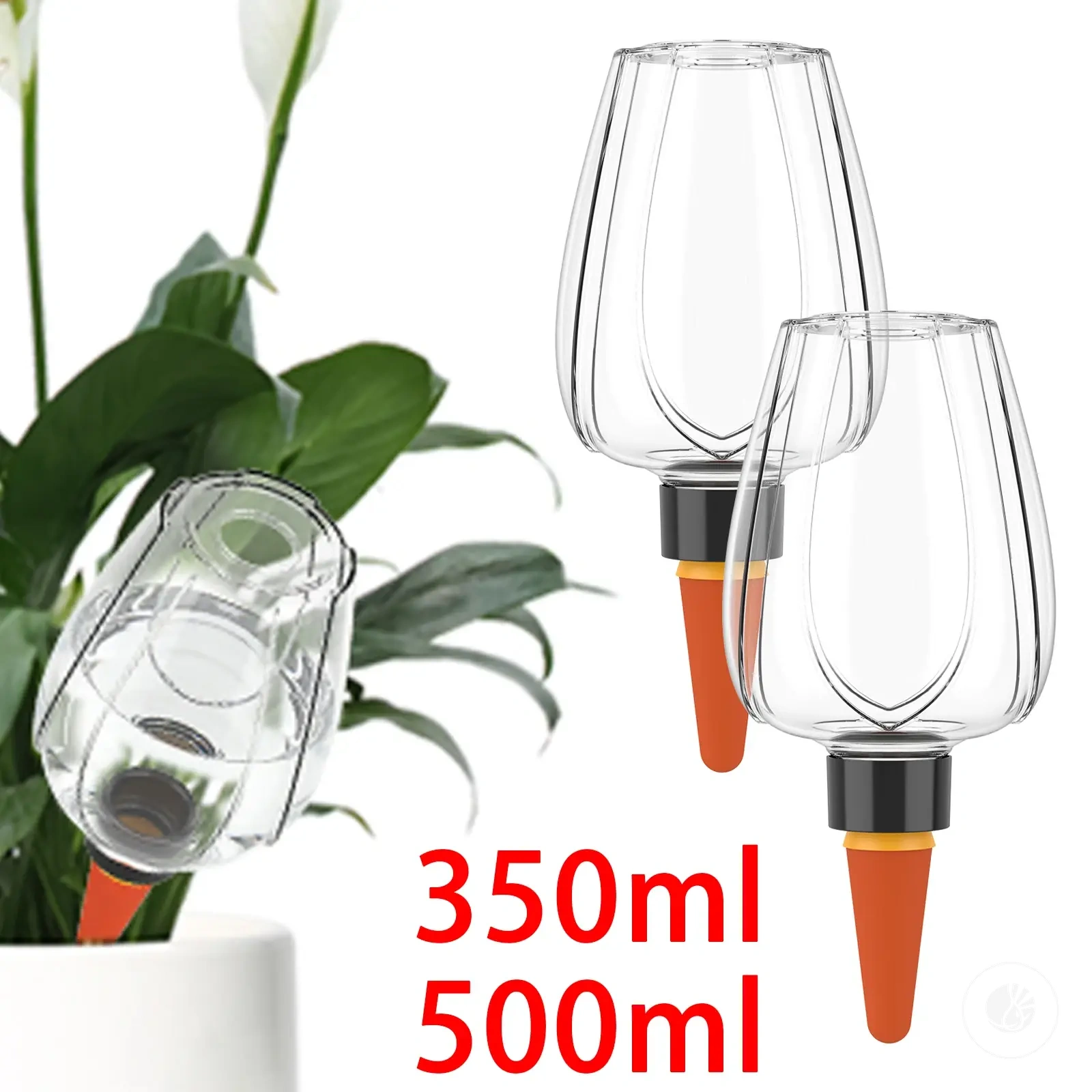 Globes d’auto-arrosage transparents pour diffusion lente de l’eau dans les pots